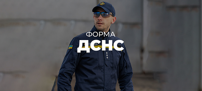 Форма ДСНС